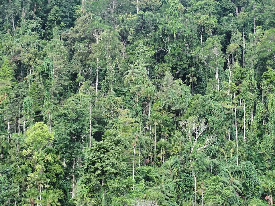 Aketajawe-Lolobata National Park