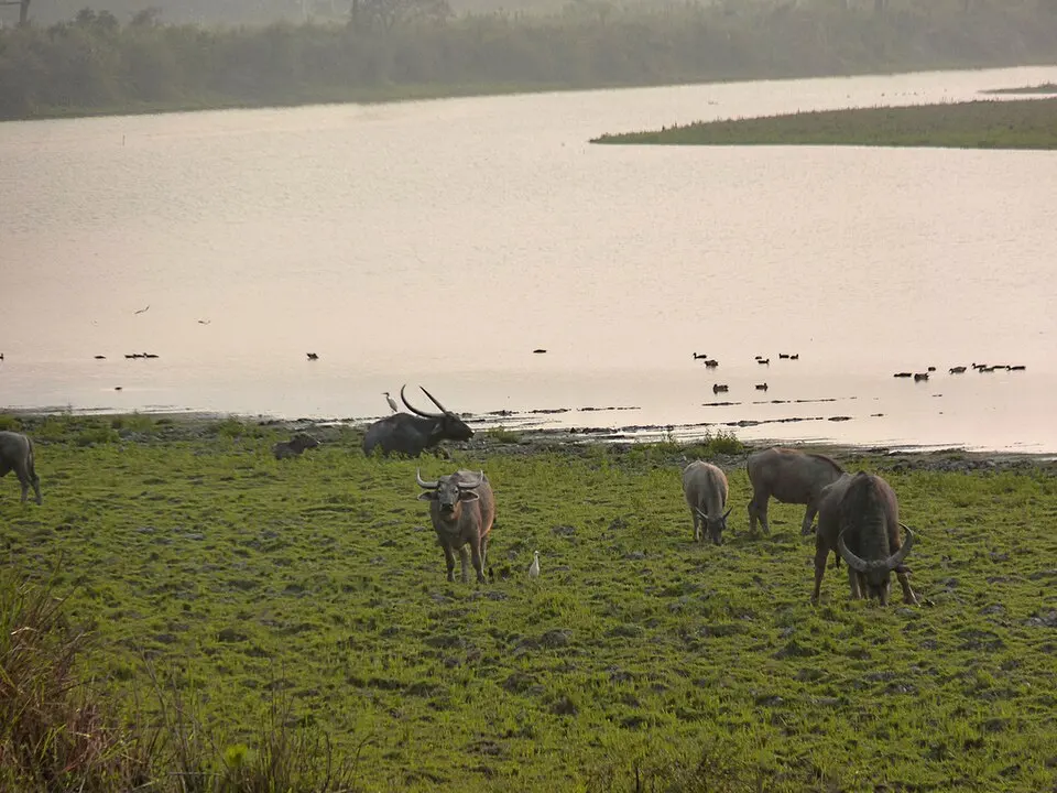 Indravati National Park