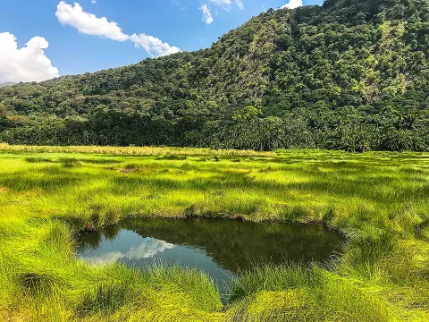 Semuliki National Park