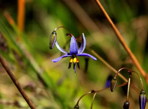 Beninbi National Park