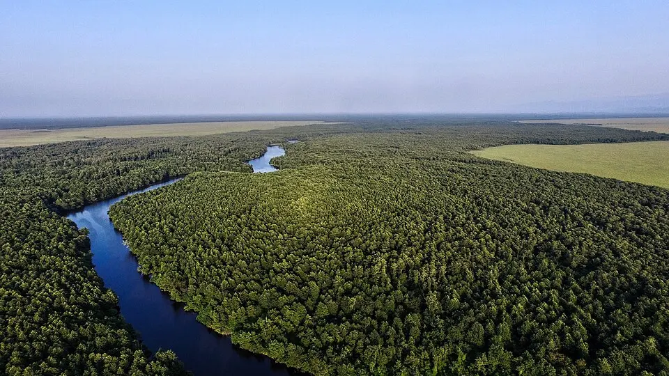 Kolkheti National Park