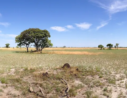 Liuwa Plain National Park