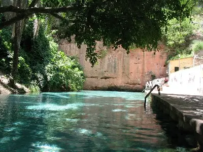 Yankari National Park