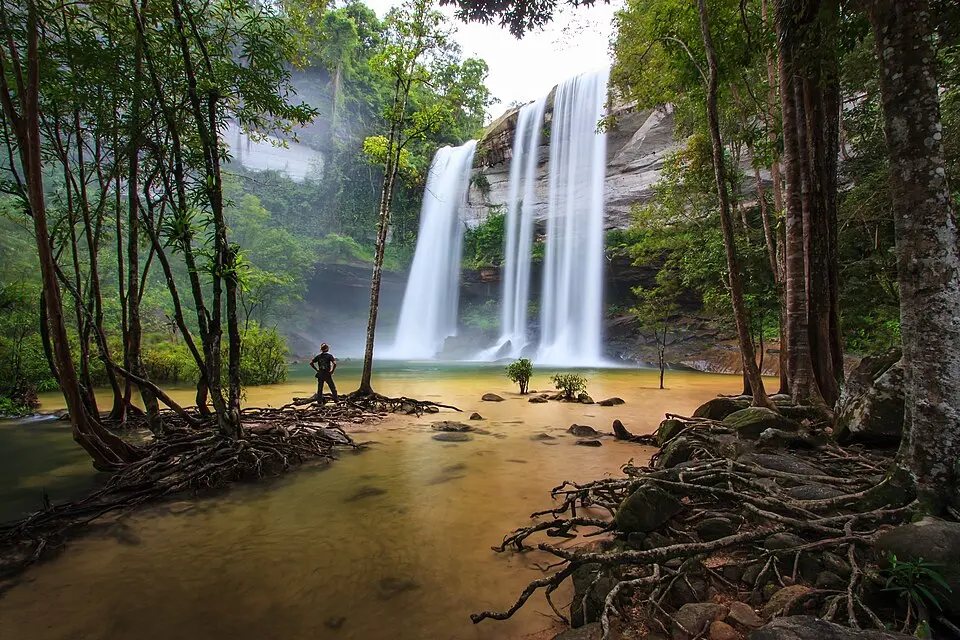 Phu Chong-Na Yoi National Park