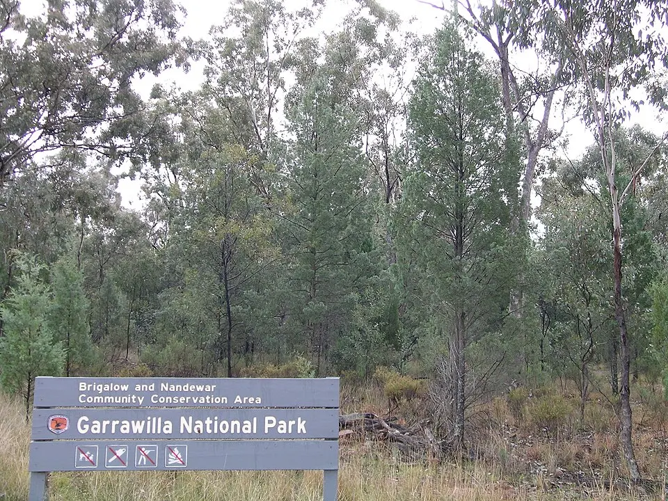 Garrawilla CCA Zone 1 National Park