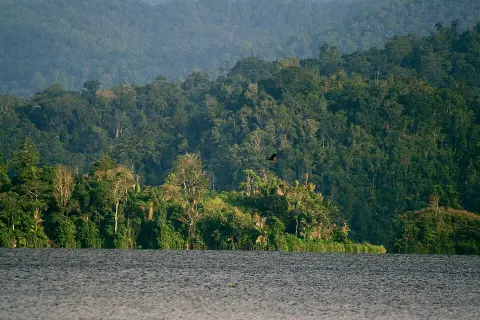 Lore Lindu National Park