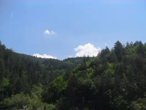 Mount Ilgaz National Park