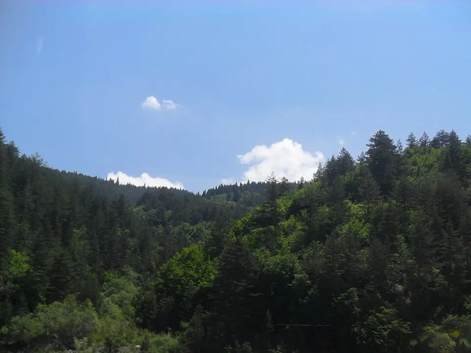 Mount Ilgaz National Park