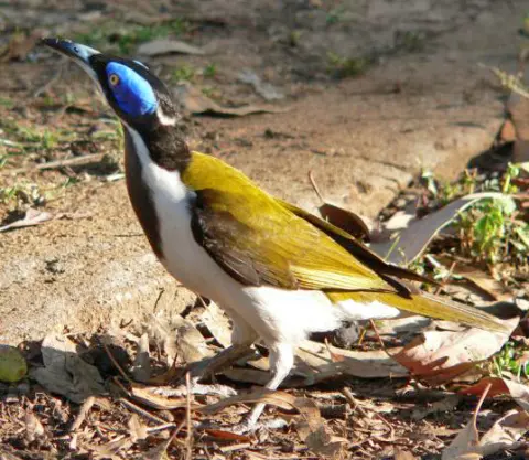 Nour Nour National Park
