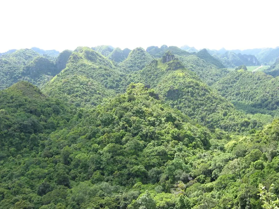 Cat Ba National Park