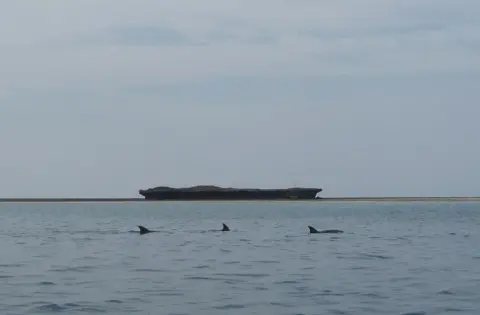 Kisite-Mpunguti Marine National Park