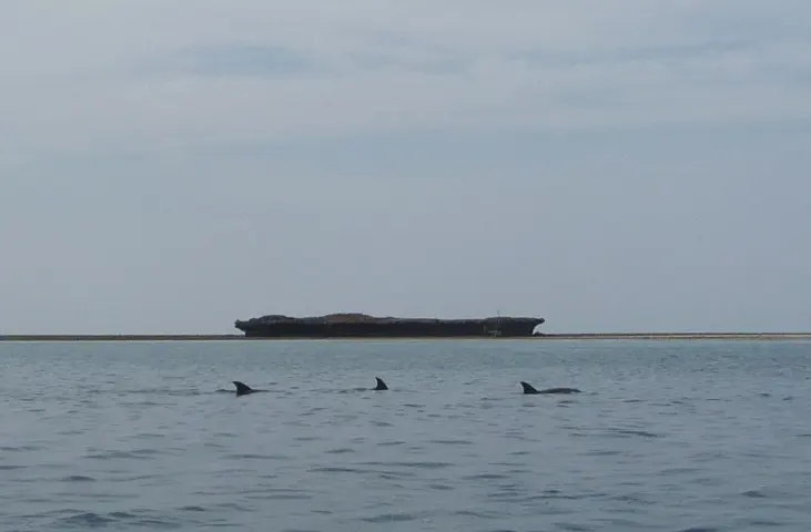 Kisite-Mpunguti Marine National Park