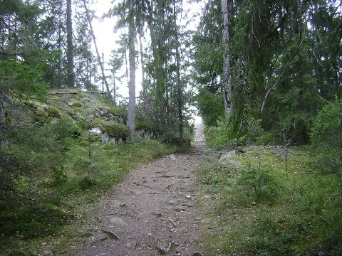 Tyresta National Park