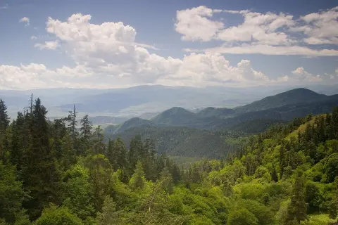 Borjomi-Kharagauli National Park