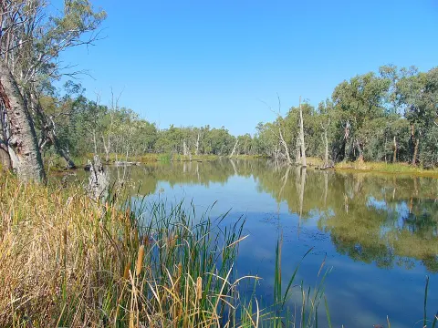 Gunbower National Park