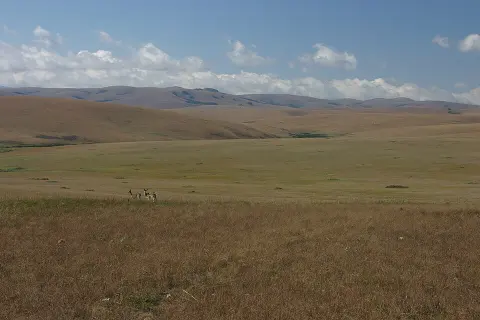 Nyika National Park