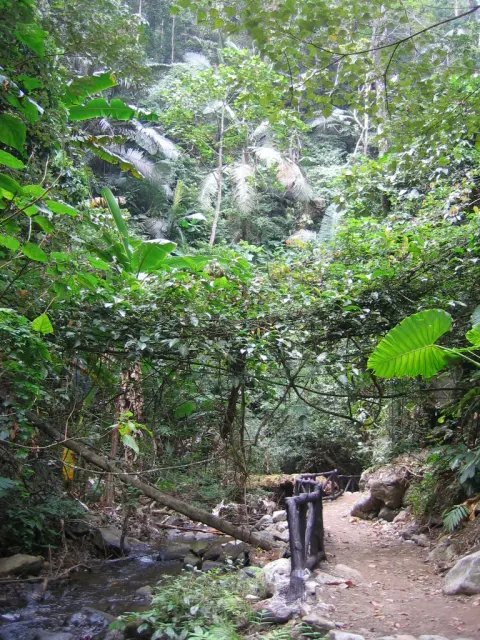 Tat Mok National Park