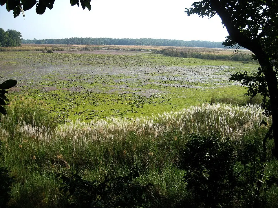 Shuklaphanta National Park