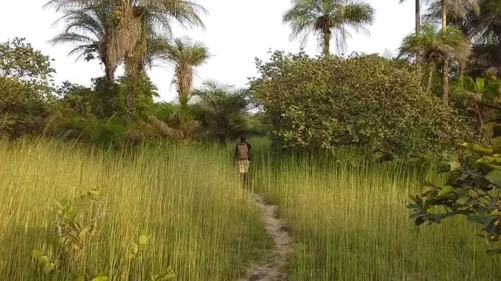 Basse Casamance National Park