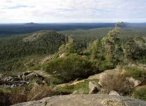 Mount Lindesay National Park