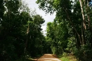 Kutini-Payamu National Park