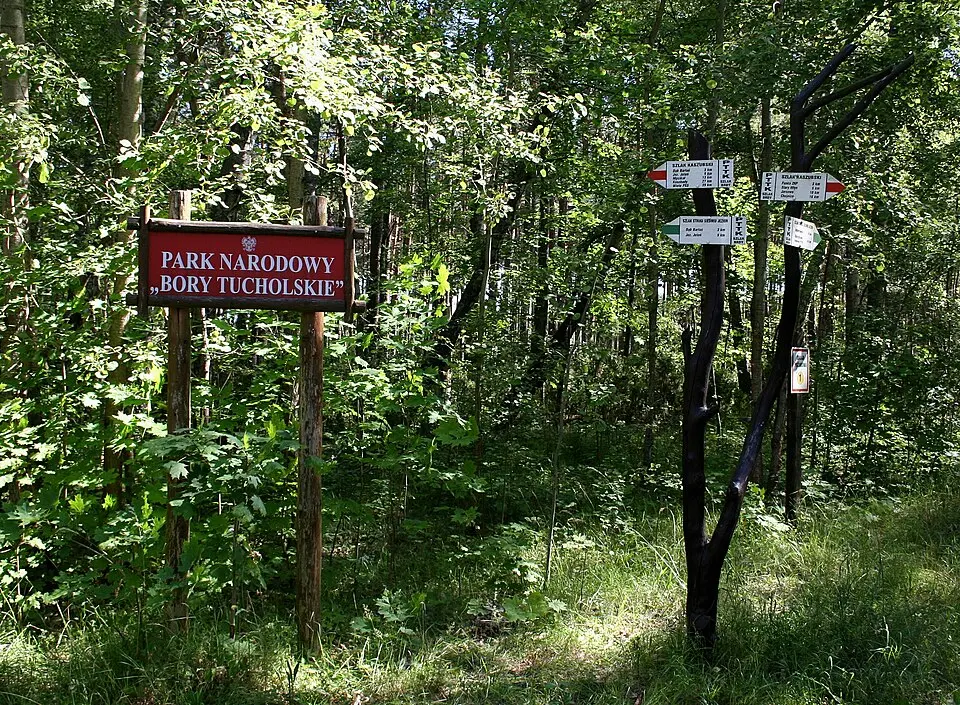 Bory Tucholskie National Park