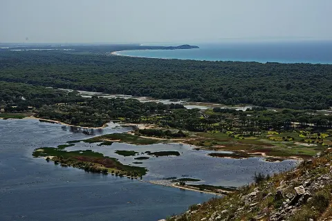 Kotychi and Strofylia Wetlands National Park