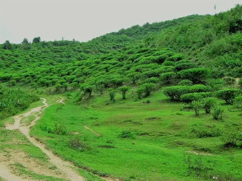 Khadimnagar National Park