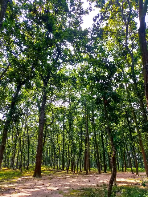 Birgonj National Park