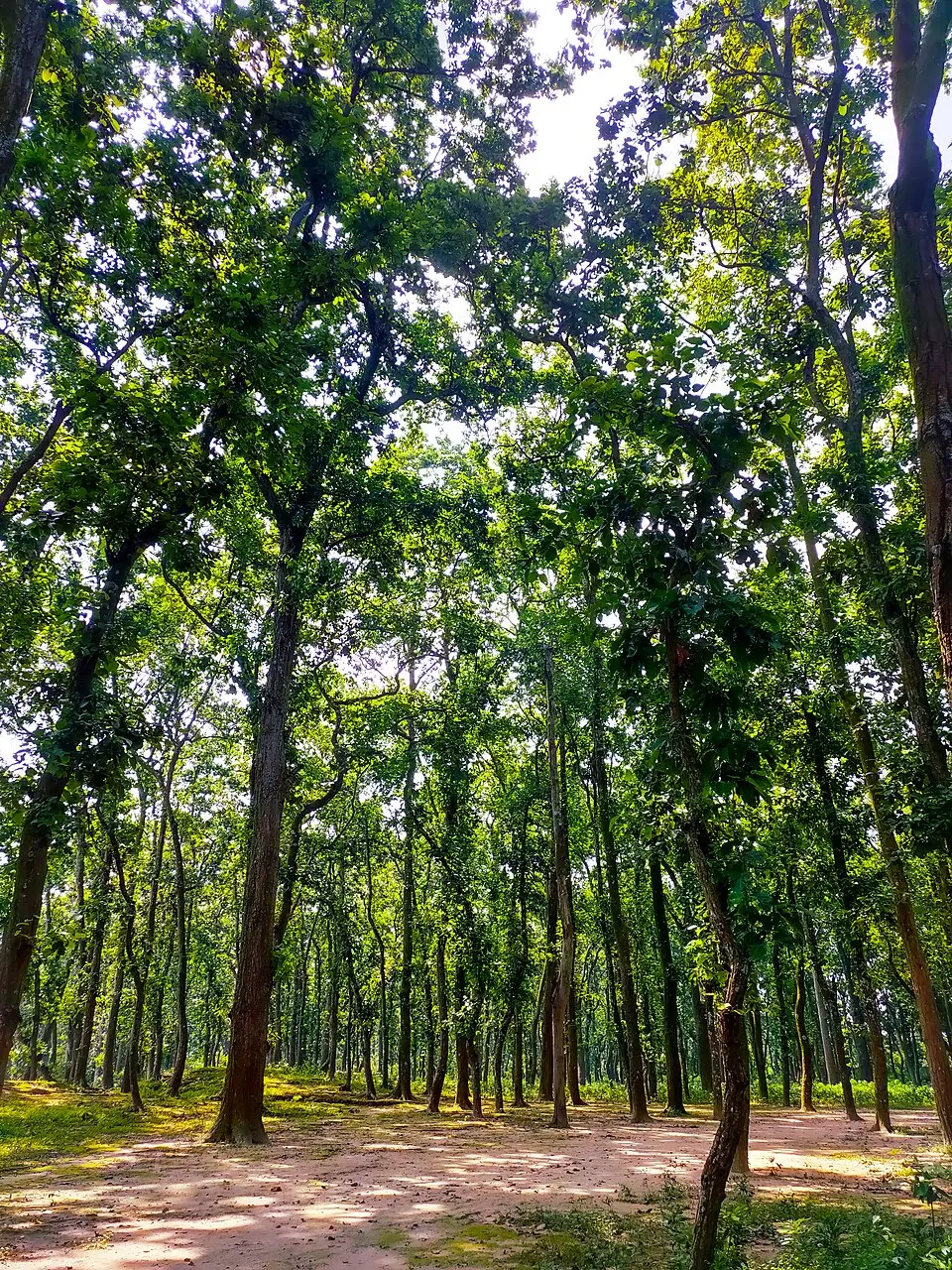Birgonj National Park