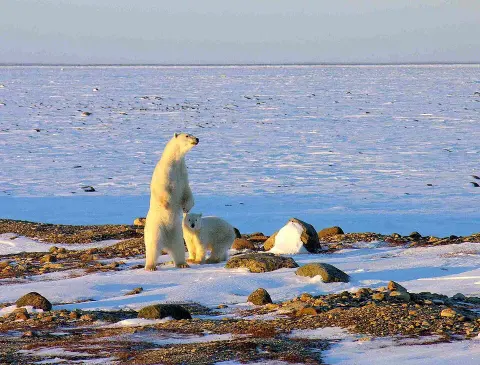 Wapusk National Park