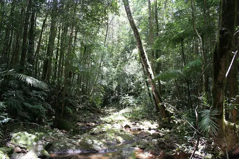Paluma Range National Park