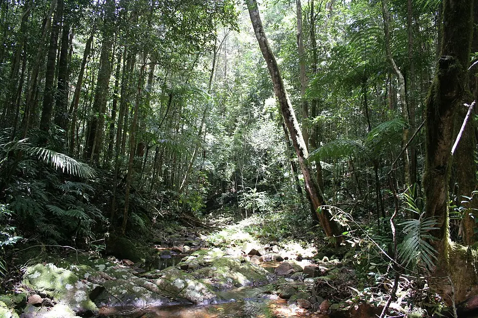 Paluma Range National Park