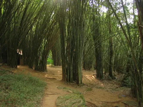 Nam Nao National Park
