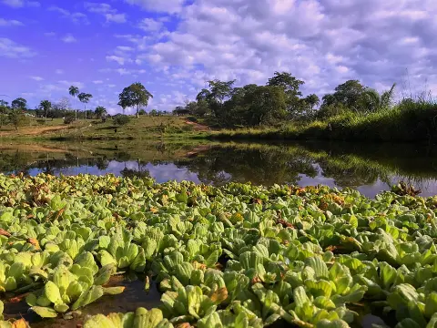 Otuquis National Park and Integrated Management Natural Area