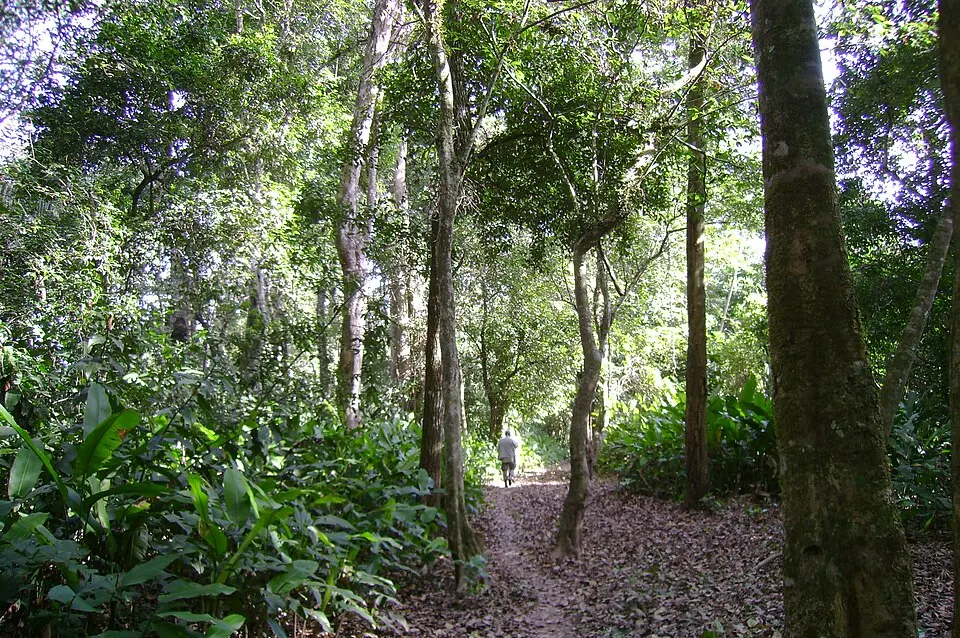 Isiboro Sécure National Park and Indigenous Territory