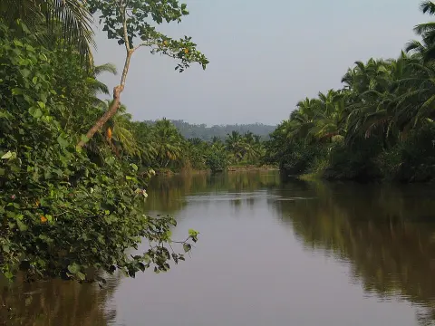 Siberut National Park