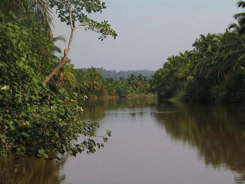 Siberut National Park