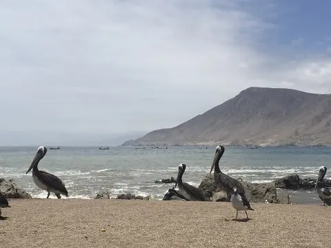 Parque Nacional Submarino La Caleta