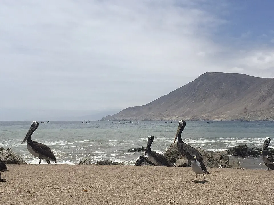 Parque Nacional Submarino La Caleta
