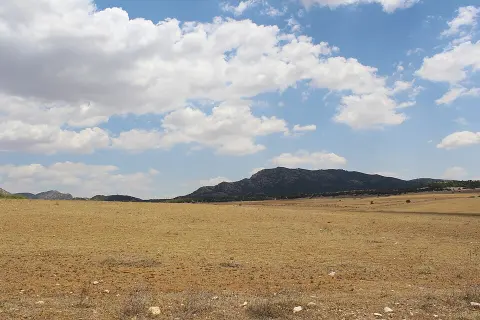 Jebel Zaghdoud National Park
