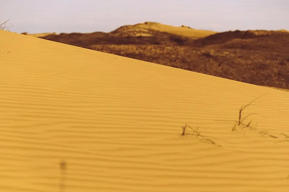 Oleshky Sands National Nature Park