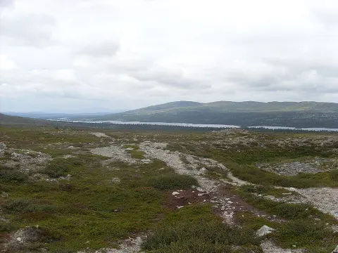 Töfsingdalen National Park