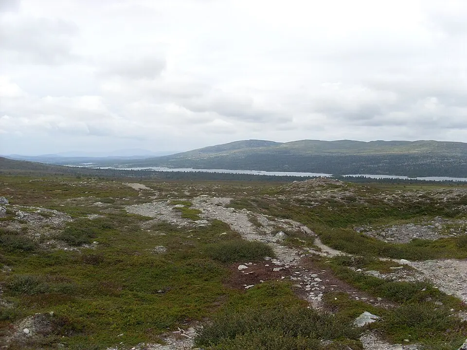 Töfsingdalen National Park