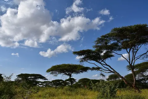 Yabelo Wildlife Sanctuary