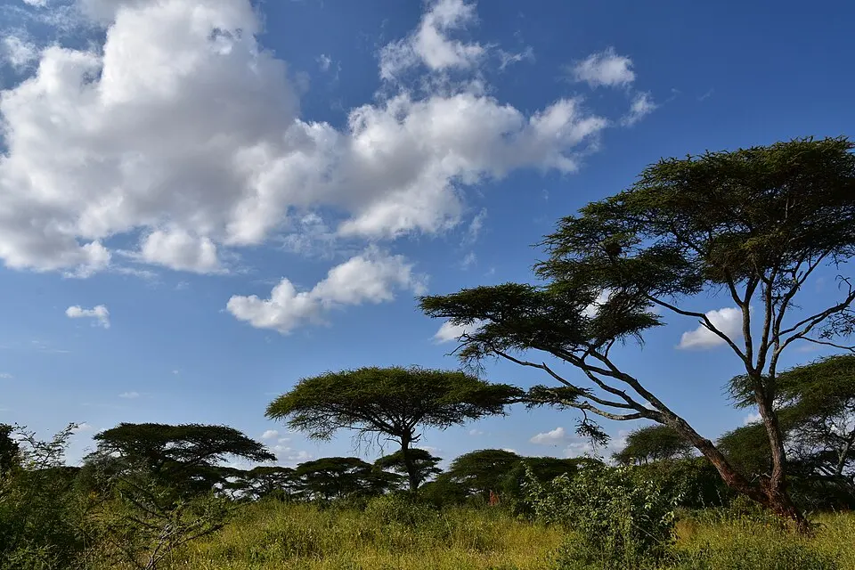 Yabelo Wildlife Sanctuary