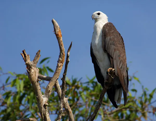 Turtle Group National Park