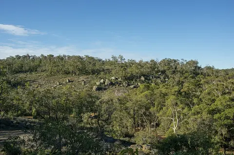 John Forrest National Park
