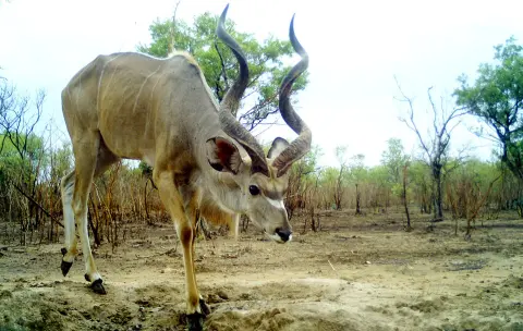 Siniaka-Minia National Park