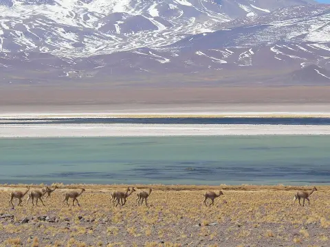 Nevado Tres Cruces National Park